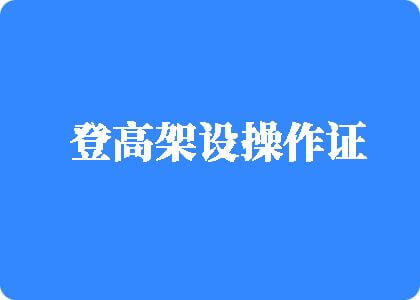 免费看片日屄登高架设操作证